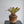 Load image into Gallery viewer, ネオレゲリア