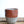 Load image into Gallery viewer, ガジュマルmini× DOMANI FES Brick