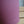 Load image into Gallery viewer, DOMANI レッキ17 ダークピンク