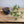 Load image into Gallery viewer, 寿松