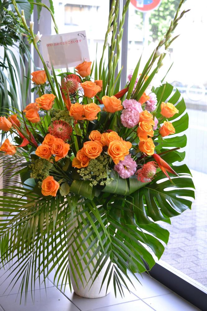 orange.jpg?v=1632730271 orange.jpg?v=1632730271
